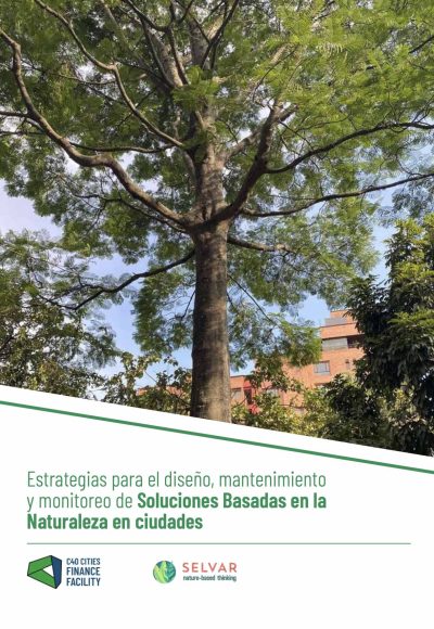caratula Estrategias para el diseño
