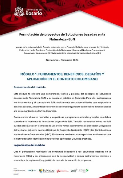 caratulaformulaciondepro